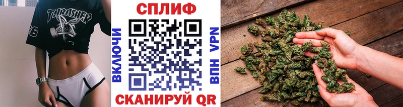 Где можно купить наркотики Закаменск СК  МАРИХУАНА  COCAIN  Меф  Гашиш 