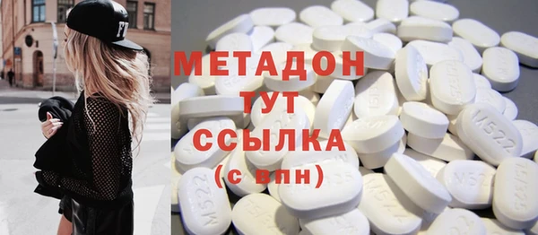 индика Гусиноозёрск