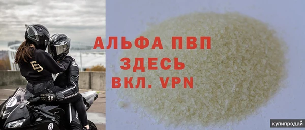 стафф Дмитров