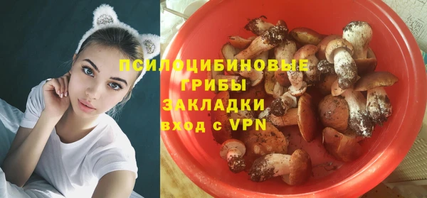индика Алексеевка