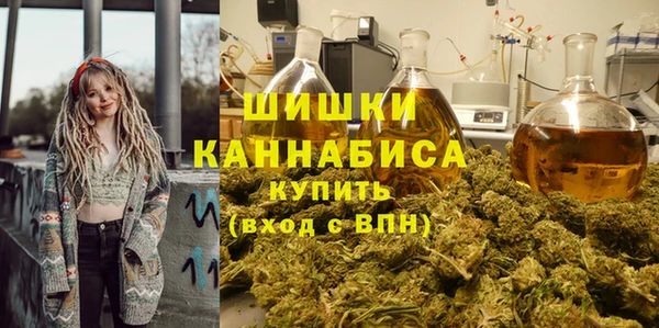 марки nbome Ельня