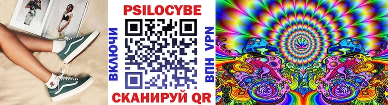 Псилоцибиновые грибы Cubensis  блэк спрут онион  Закаменск 
