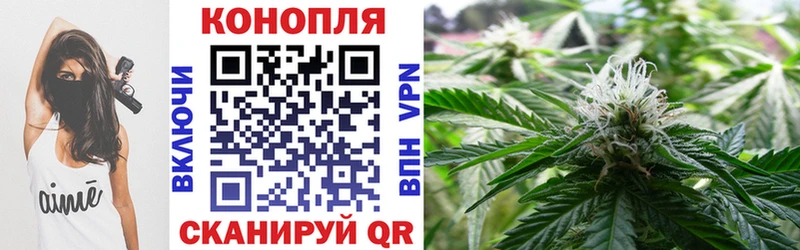 Канабис конопля купить наркоту Закаменск